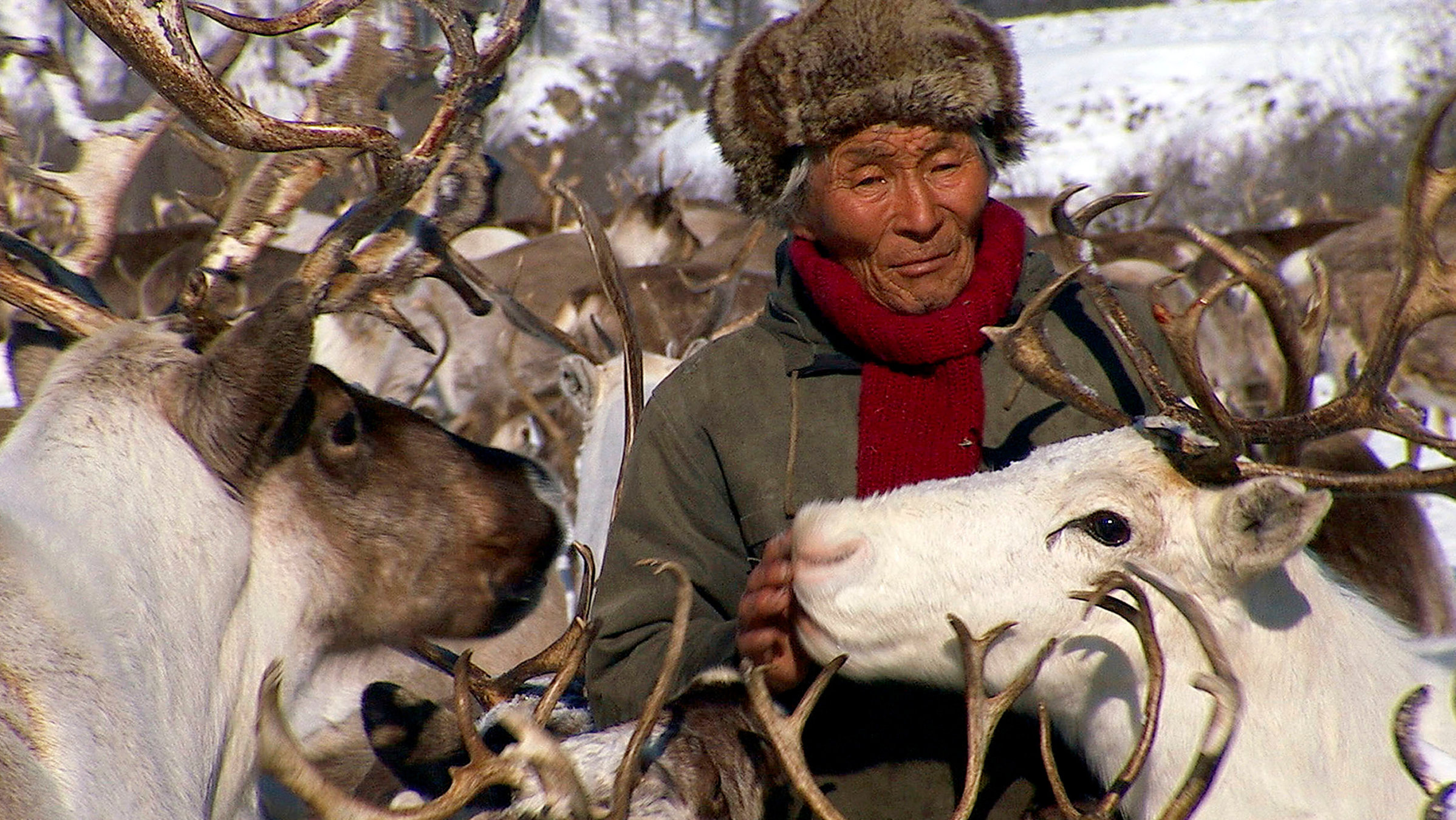 Какой зверь хозяин тайги народы приамурья. Местные жители тайги. Население тайги. Население тайги народы. Тайга Таежные жители.