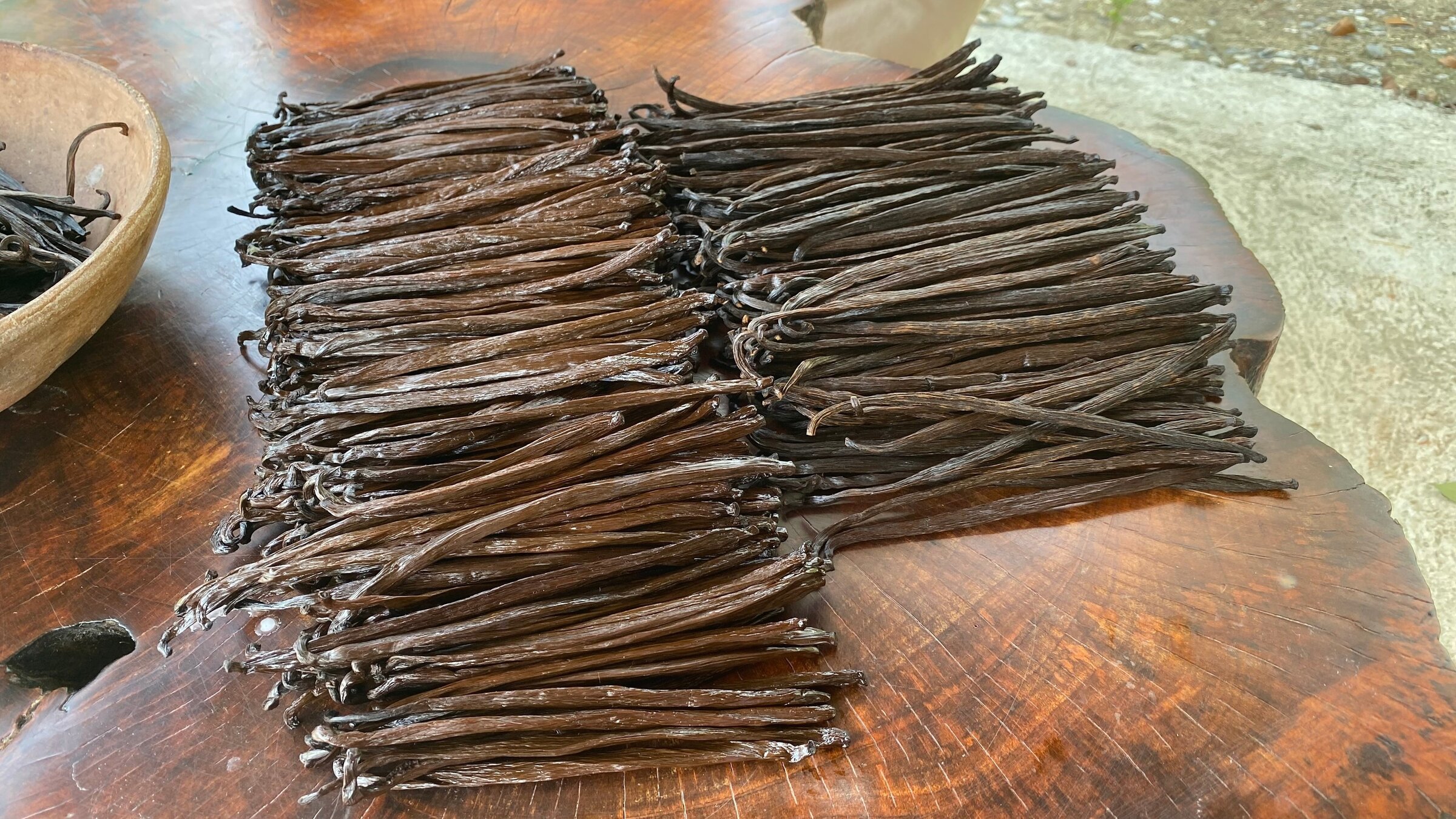 "Welt der Gewürze: Vanille aus Mexiko": Ein kleines Vermögen - Vanille ist eines der teuersten Gewürze der Welt.