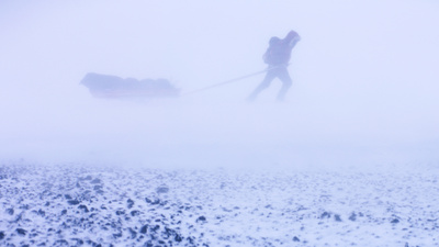 Arctic