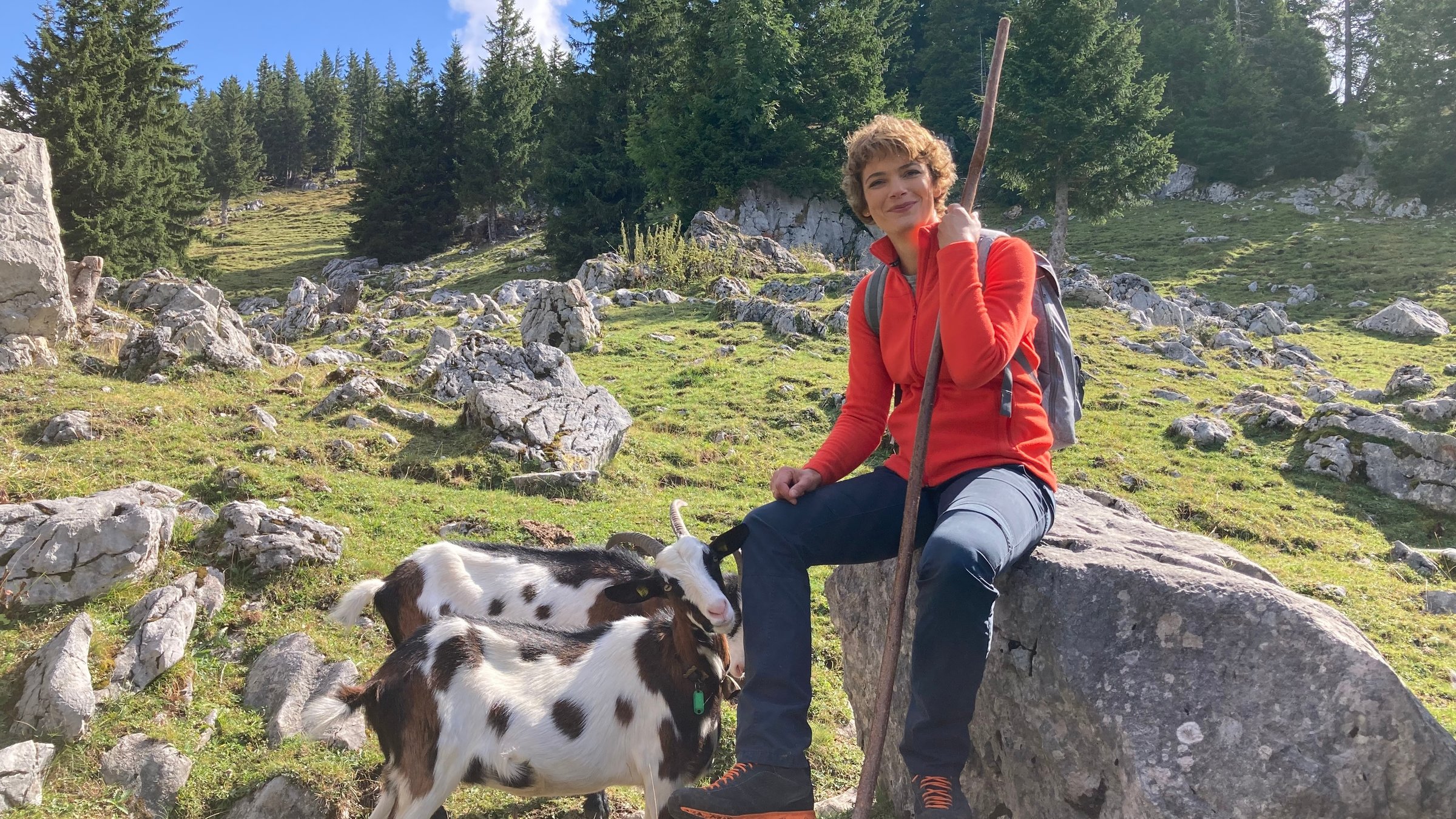 "Terra Xpress - Lockruf der Alpen:" Die Moderatorin Lena Ganschow sitzt auf einem großen Stein auf der Wiese neben Ziegen.