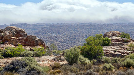 Von Kapstadt in die Kalahari