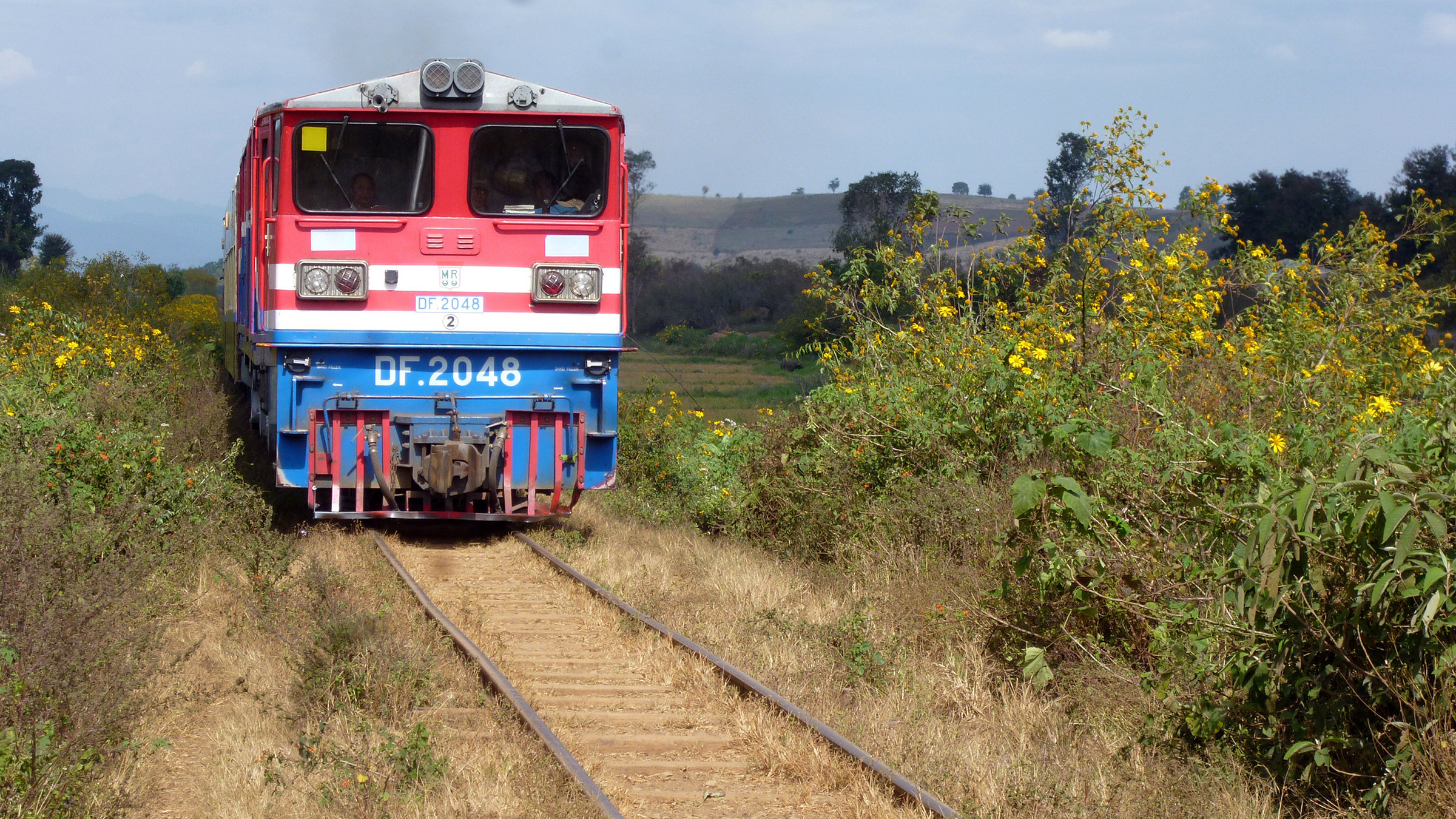 "Mit dem Zug durch Myanmar": Ein Zug fährt an blühenden Büschen vorbei.