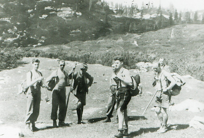 Berge, Seen und Partisanen - Eine politische<br/>Geschichte des Salzkammerguts