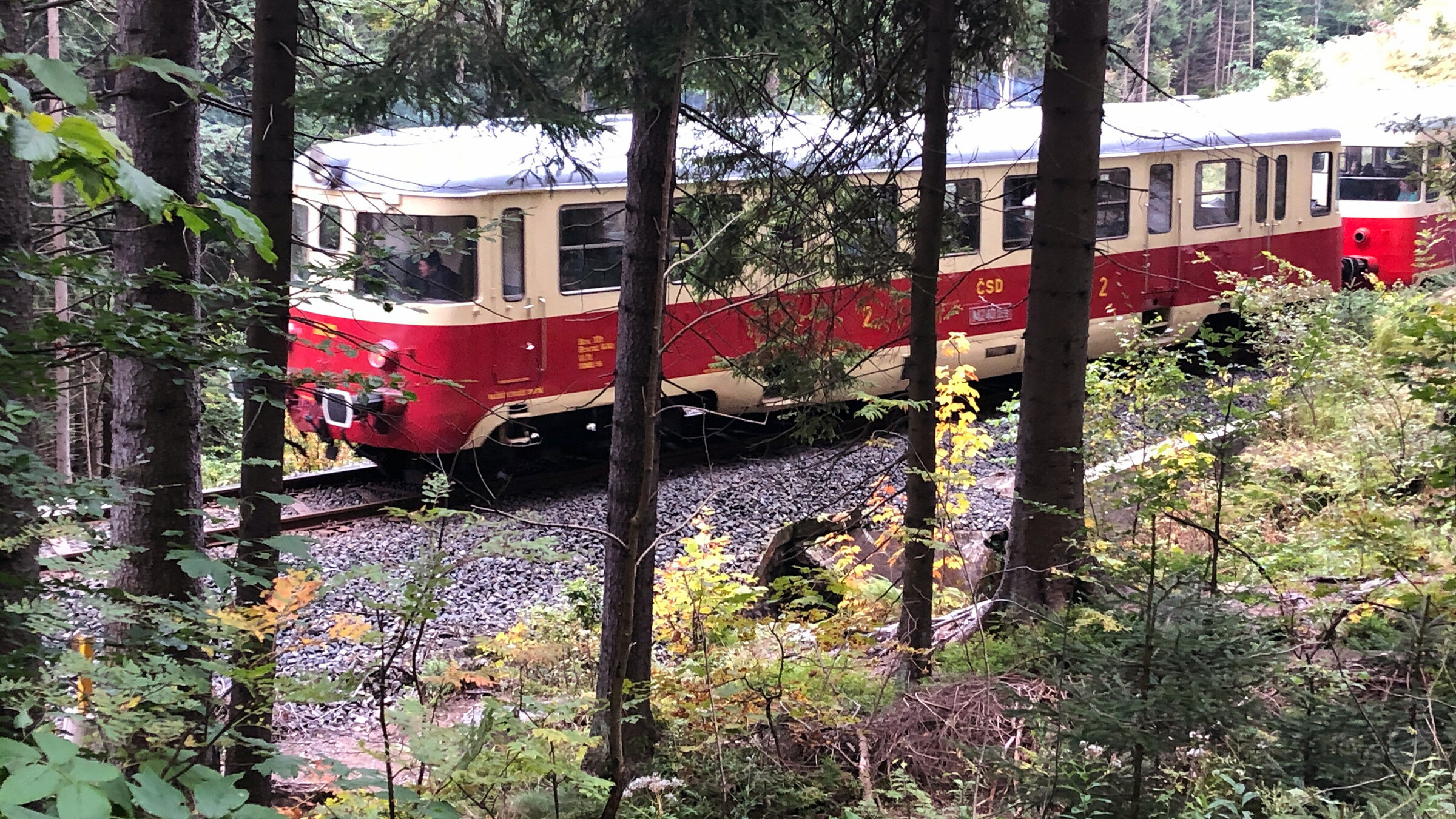 "Die Zackenbahn von Tschechien nach Polen - Ein Zug verbindet": Der Zug durchquert am Pass zwischen Iser- und Riesengebirge dichten Wald.