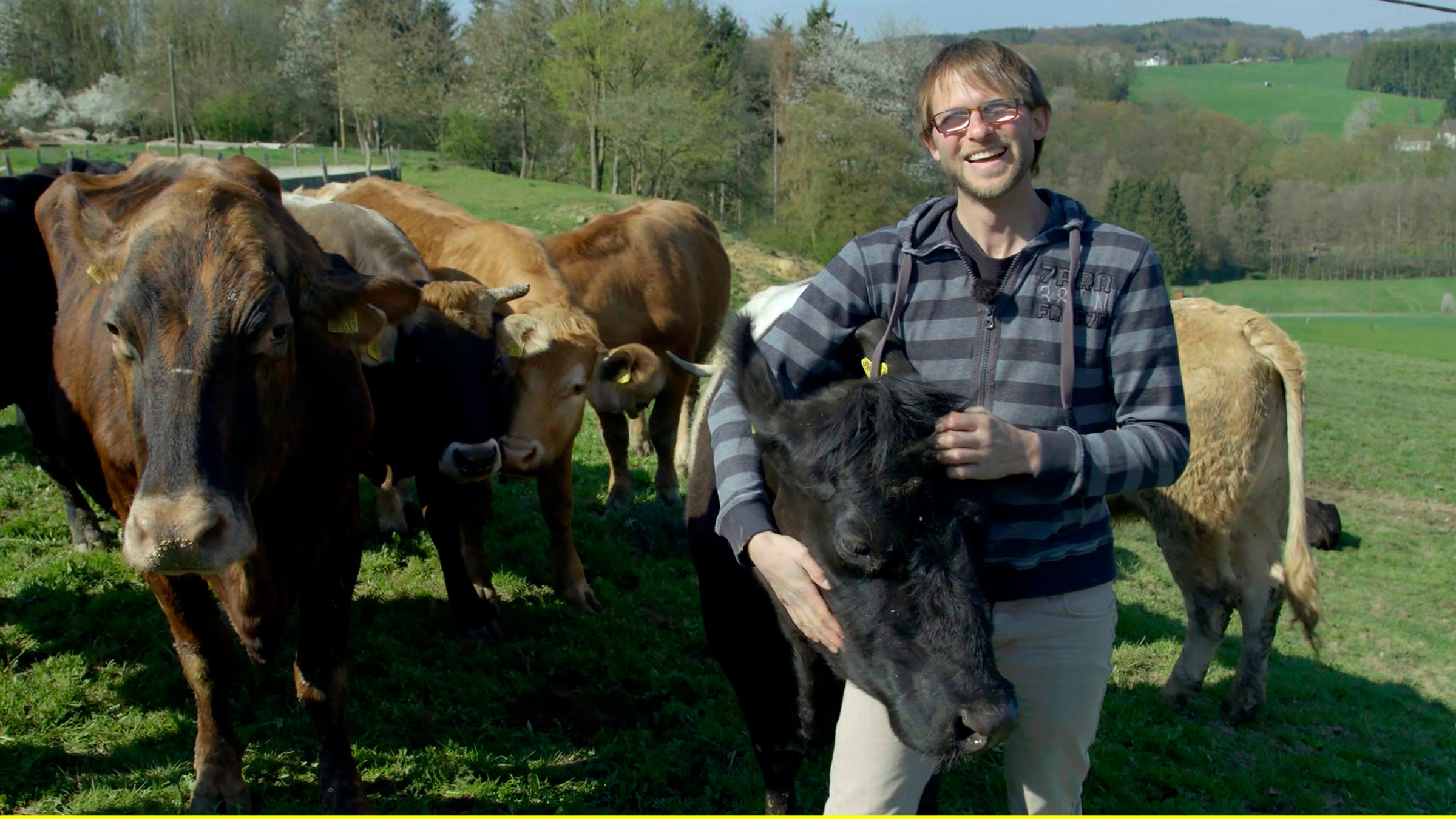 "Der Traum vom Bio-Bauernhof - zwischen Idylle und Knochenjob": Lukas Tölkes mit seiner kleinen Rinderherde.