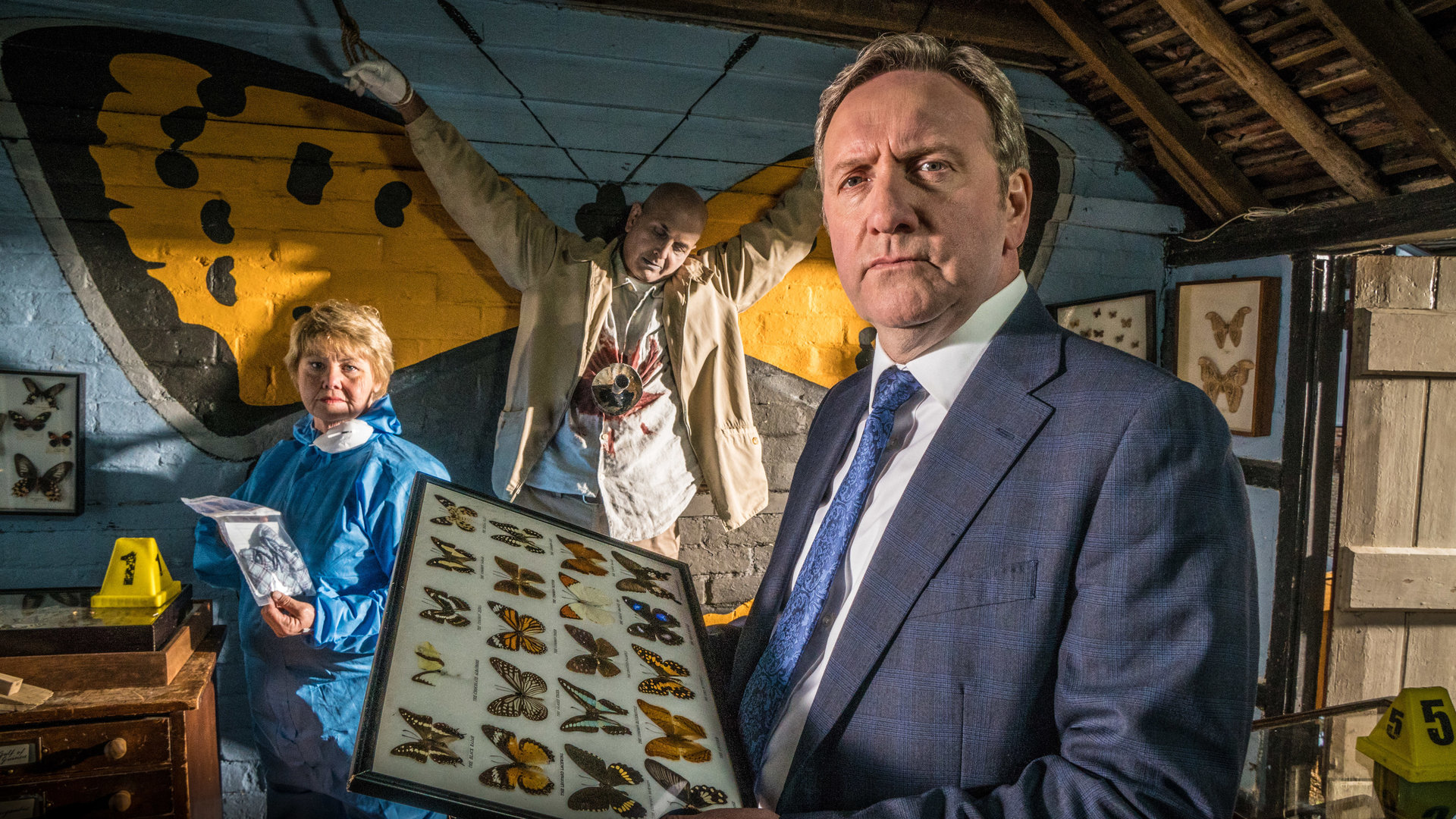 "Inspector Barnaby - Schmetterlinge sterben früh": John Barnaby (Neil Dudgeon) hält einen Schaukasten mit Schmetterlingen in der Hand. Im Hintergrund steht Rechtsmedizinerin Fleur Perkins (Annette Badland). Aufgespießt an der Wand hängt Mahesh Sidana (Amar Jassal). Um ihn herum sind Schmetterlingsflügel an die Wand gemalt.