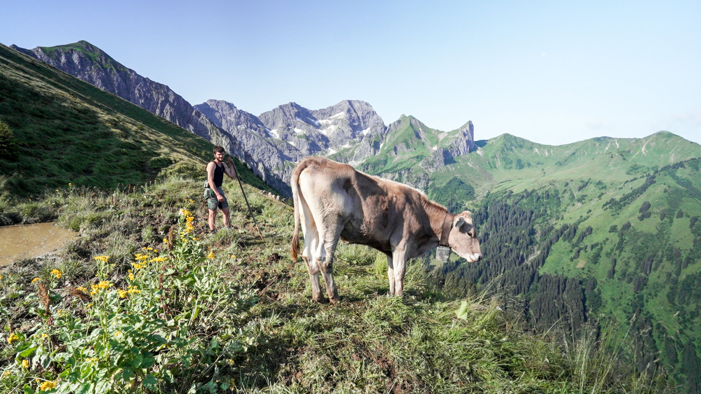 "Almgeschichten aus Vorarlberg": Clemens Fink, Grasalp.