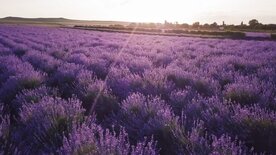 Südfrankreich von oben