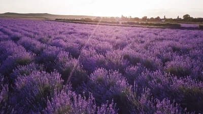 Südfrankreich von oben