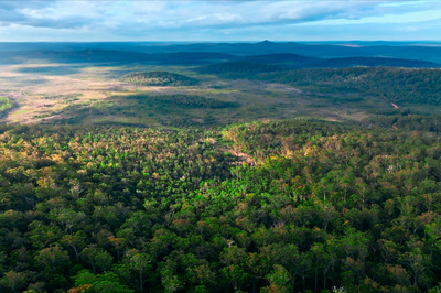 In den Feuerwäldern Westaustraliens - Die Walpole Wilderness
