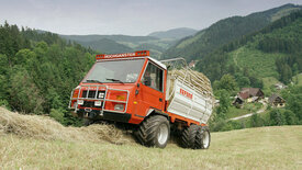 Steirischer Almsommer in der Lipizzanerheimat