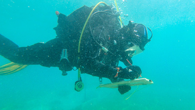 Österreichs Welterbe - Urwald, Salz und barocke Pracht