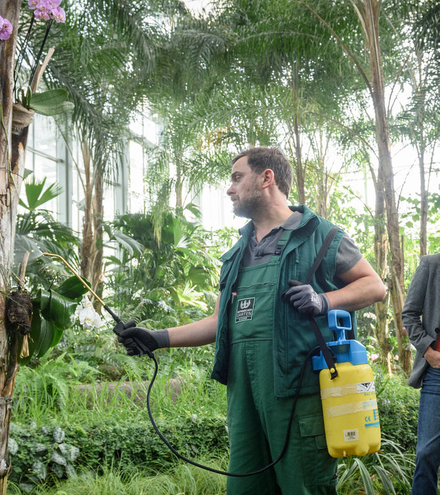 "SOKO Wismar – Verblühtes Leben": Pit Kanther (Günther Harder) steht in einer Tropenhalle des Botanischen Gartens inmitten von Palmen und exotischen Pflanzen. Er ist damit beschäftigt, Orchideen zu besprühen. Er scheint nicht zu bemerken, dass die Kommissare Karoline Joost (Nike Fuhrmann) und Lars Pöhlmann (Dominic Boeer) ihn aus einiger Entfernung beobachten.