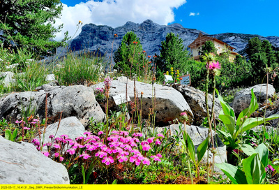 Gärten in den Alpen