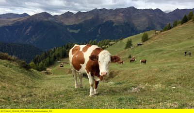Sagenhaft - Südtirol