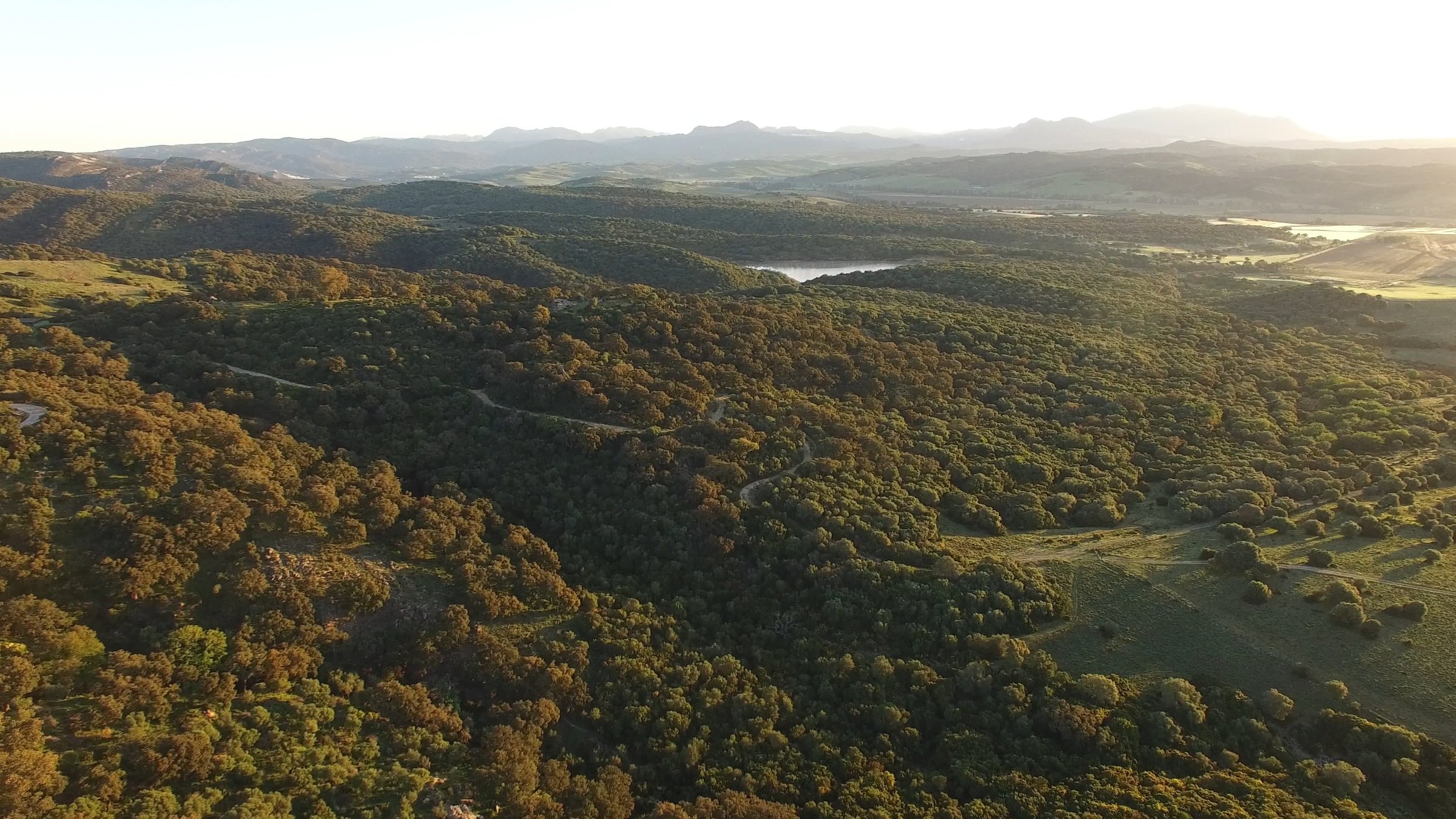 "Spaniens wilder Süden - Eroberer": Korkeichenwälder