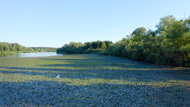 Das Geheimnis der Au