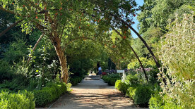 Königliche Gärten - Der Königliche Botanische<br/>Garten von Madrid