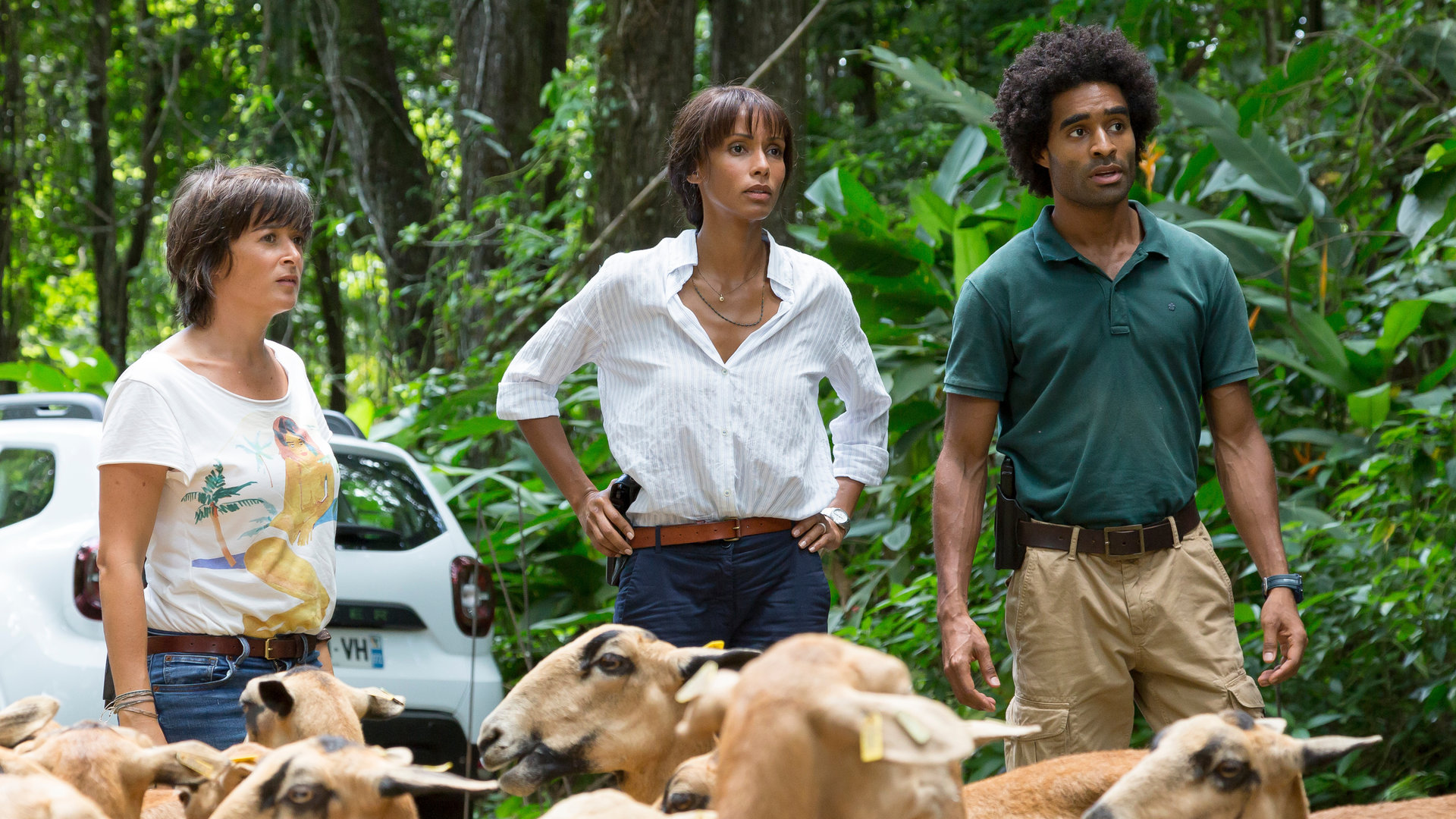 "Deadly Tropics - Kein Herz für Menschen": Gaëlle Crivelli (Béatrice de la Boulaye), Mélissa Sainte-Rose (Sonia Rolland) und Aurélien Charlery (Julien Béramis) stehen nebeneinander vor einer Ziegenherde. Sie blicken erstaunt in die Ferne.