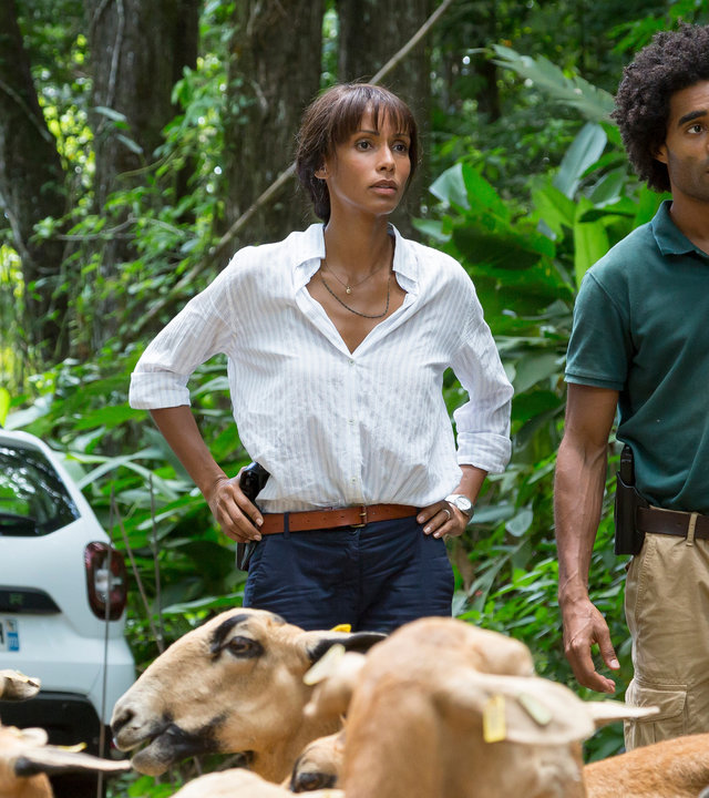 "Deadly Tropics - Kein Herz für Menschen": Gaëlle Crivelli (Béatrice de la Boulaye), Mélissa Sainte-Rose (Sonia Rolland) und Aurélien Charlery (Julien Béramis) stehen nebeneinander vor einer Ziegenherde. Sie blicken erstaunt in die Ferne.