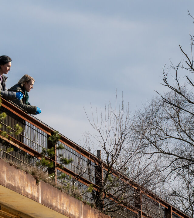 "SOKO Potsdam - Schwerelos": Auf einer alten, rostigen Brücke stehen die Kommissarinnen Pauline Hobrecht (Agnes Decker) und Tamara Meurer (Anja Pahl). Sie lehnen am Geländer und blicken hinunter. Beide wirken nachdenklich. Über ihnen ist der Himmel graublau.