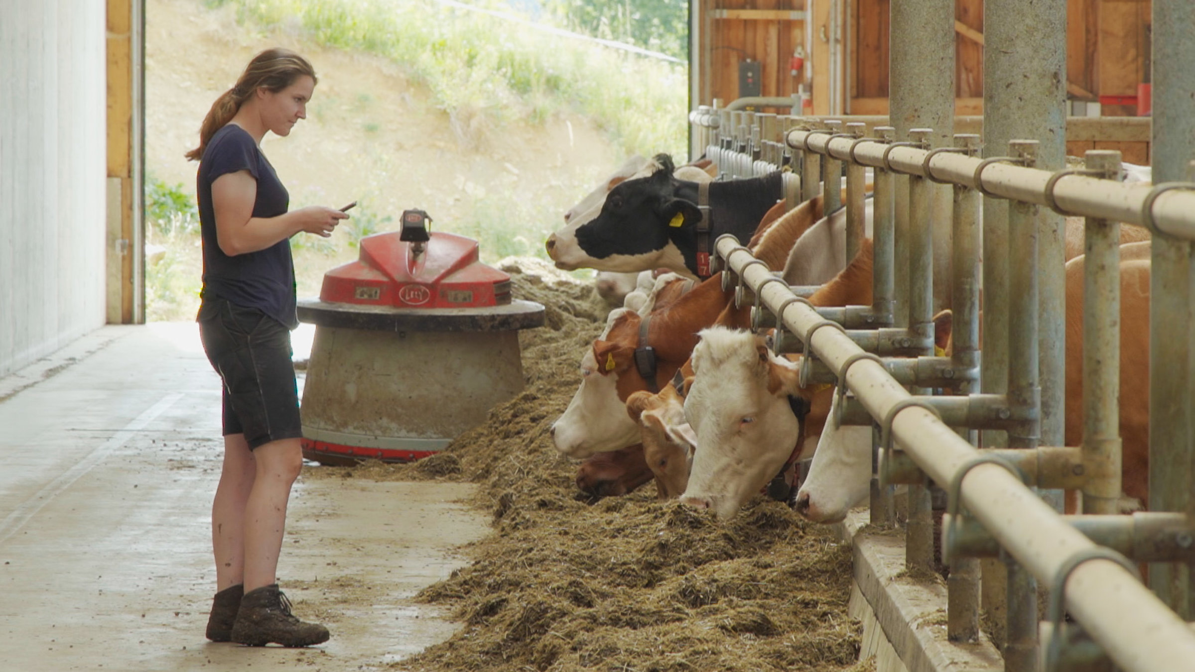 "Der digitale Bauernhof - Smartphone statt Heugabel": Kuhstall und Landwirtin.