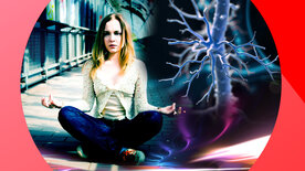 Vagus – Der Anti-Stress-Nerv