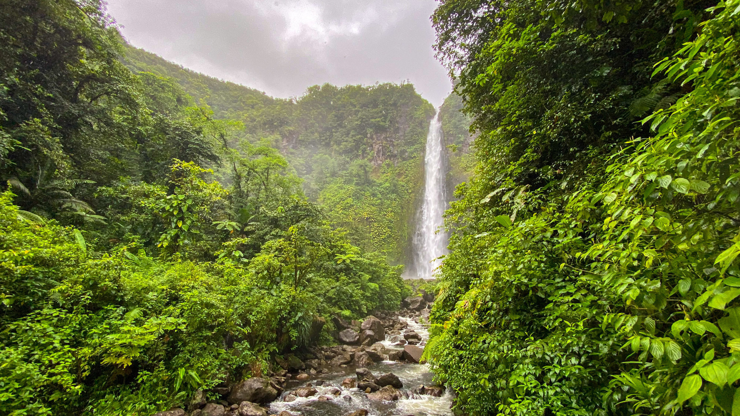 "Karibische Gartenträume auf Guadeloupe": Wasser wohin man blickt - der tropische Regenwald mit den höchsten Wasserfällen der kleinen Antillen.