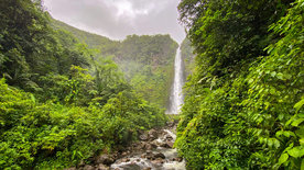 Karibische Gartenträume auf Guadeloupe