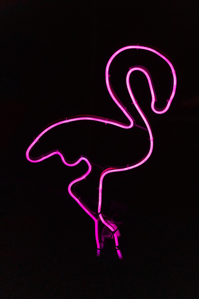 Till Reiners: Flamingos am Kotti
