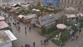 Alle Jahre wieder: Abenteuer Christbaumkauf