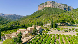 Traumgärten auf Mallorca
