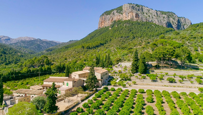 Traumgärten auf Mallorca