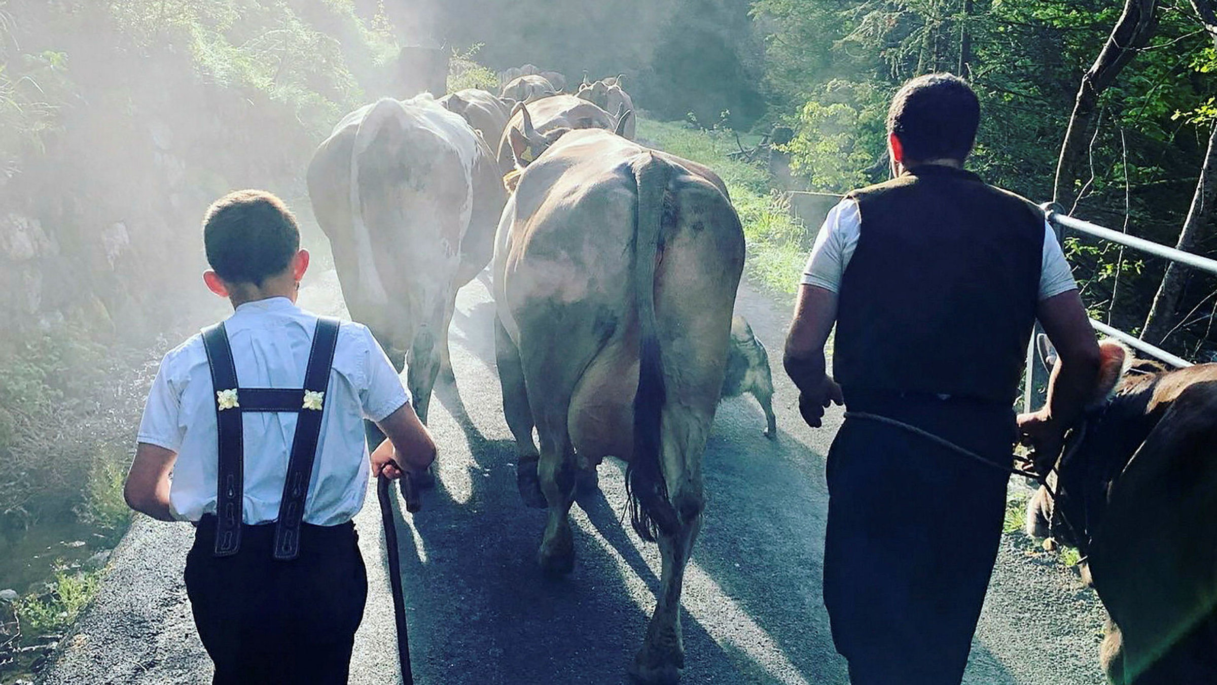 "Z'Alp - Start zum Abenteuer": Alpaufzug Appenzell
