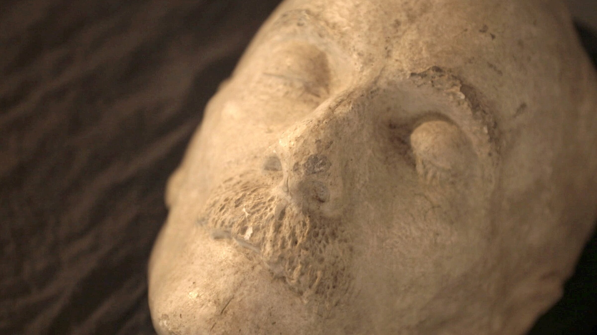 "Albin Egger-Lienz": Schloss Bruck in Lienz – Totenmaske des Malers Albin Egger-Lienz.