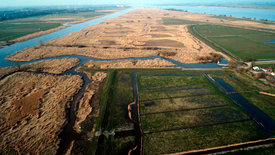 Das Vogelparadies in der Weser