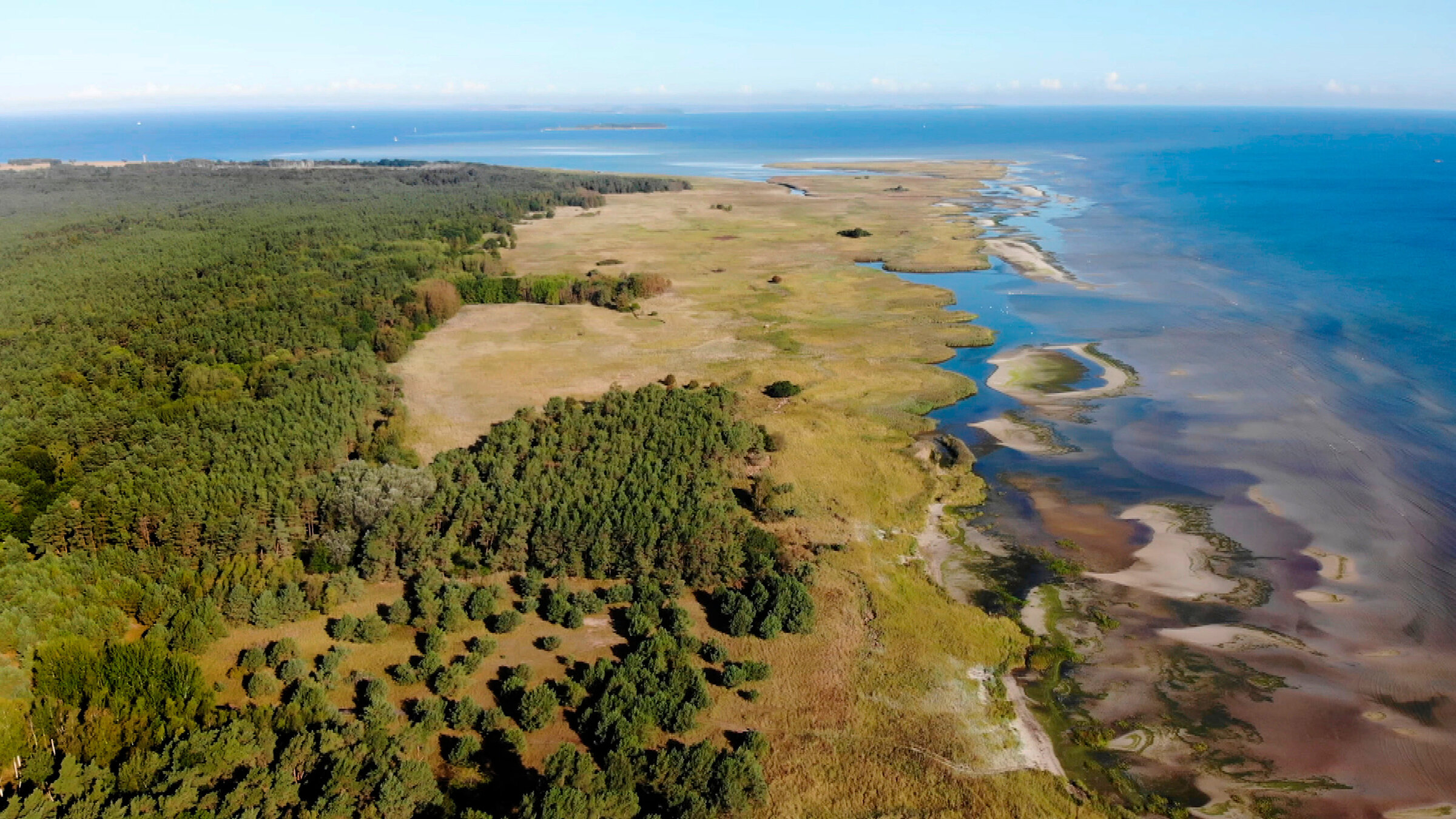 "Peenemünde - Vom geheimen Militärkomplex zum Naturparadies": Peenemünde - Biotop, Rast- und Mauserzone, Naturschutzgebiet, Wat und Wasser.