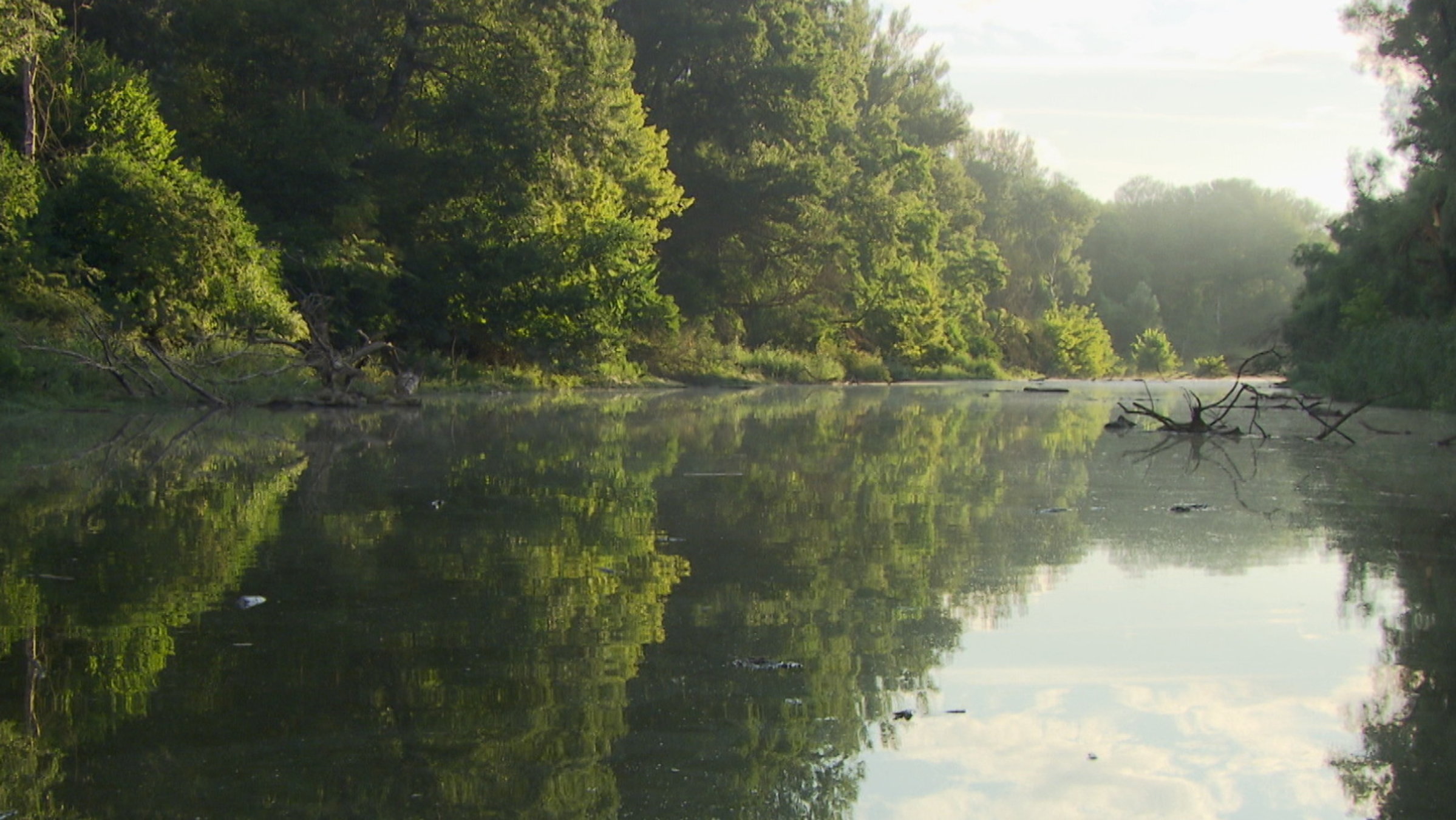 "Von der Au zur Steppe": Donauauen.
