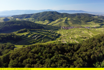 Wildes Deutschland: Der Kaiserstuhl