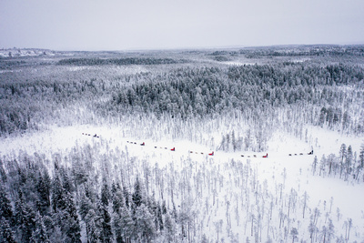 Abenteuer Lappland - Die Husky-Tour des Lebens (3/3)