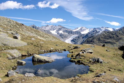 Der Prinz der Alpen