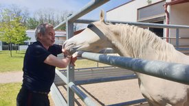 Kaminer Inside: Spanische Hofreitschule