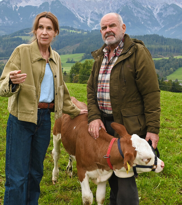 '"Die Maiwald: Verstärkung": Vor einem Bergpanorama: Andreas Reindl (August Schmölzer) steht neben einem Kuhkälbchen auf der Weide. Er hält es an einem Halfter. Dr. Johanna Maiwald (Doris Schretzmayer) steht ihm gegenüber. Sie hat eine Hand auf den Rücken des Tiers gelegt und zeigt mit der anderen Hand zur Seite. Vor ihr steht ein Arztkoffer aus Metall.  Am Bein des Kälbchens klafft eine blutende Wunde.