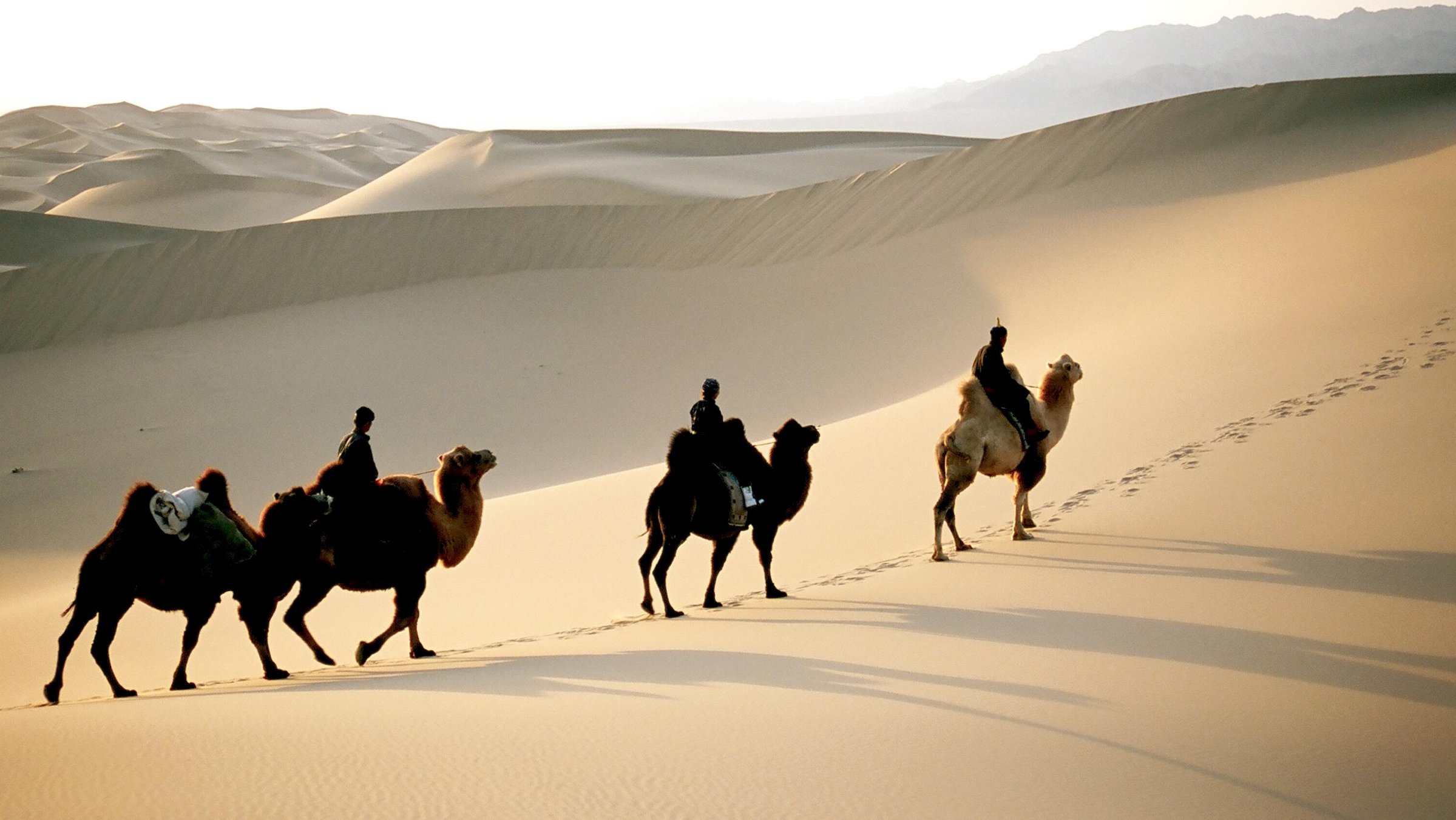 "Die Magie der Mongolei": Reiter in der Wüste Gobi.