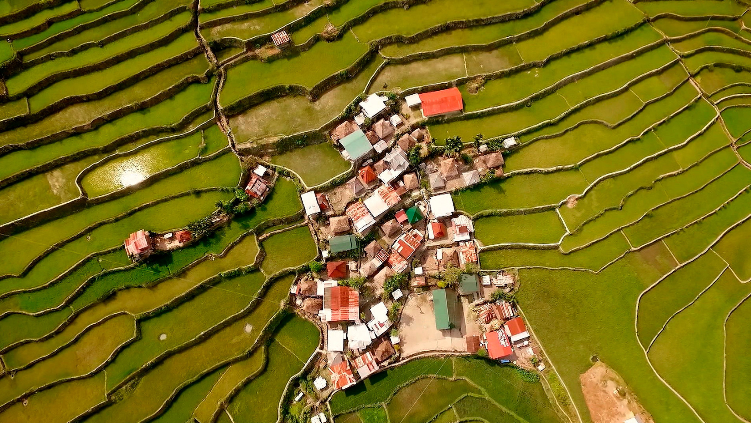 "Die Philippinen - Ein Reiseerlebnis": Die Reisterassen von Banaue reichen bis in eine Höhe von 1500 m über dem Meer.