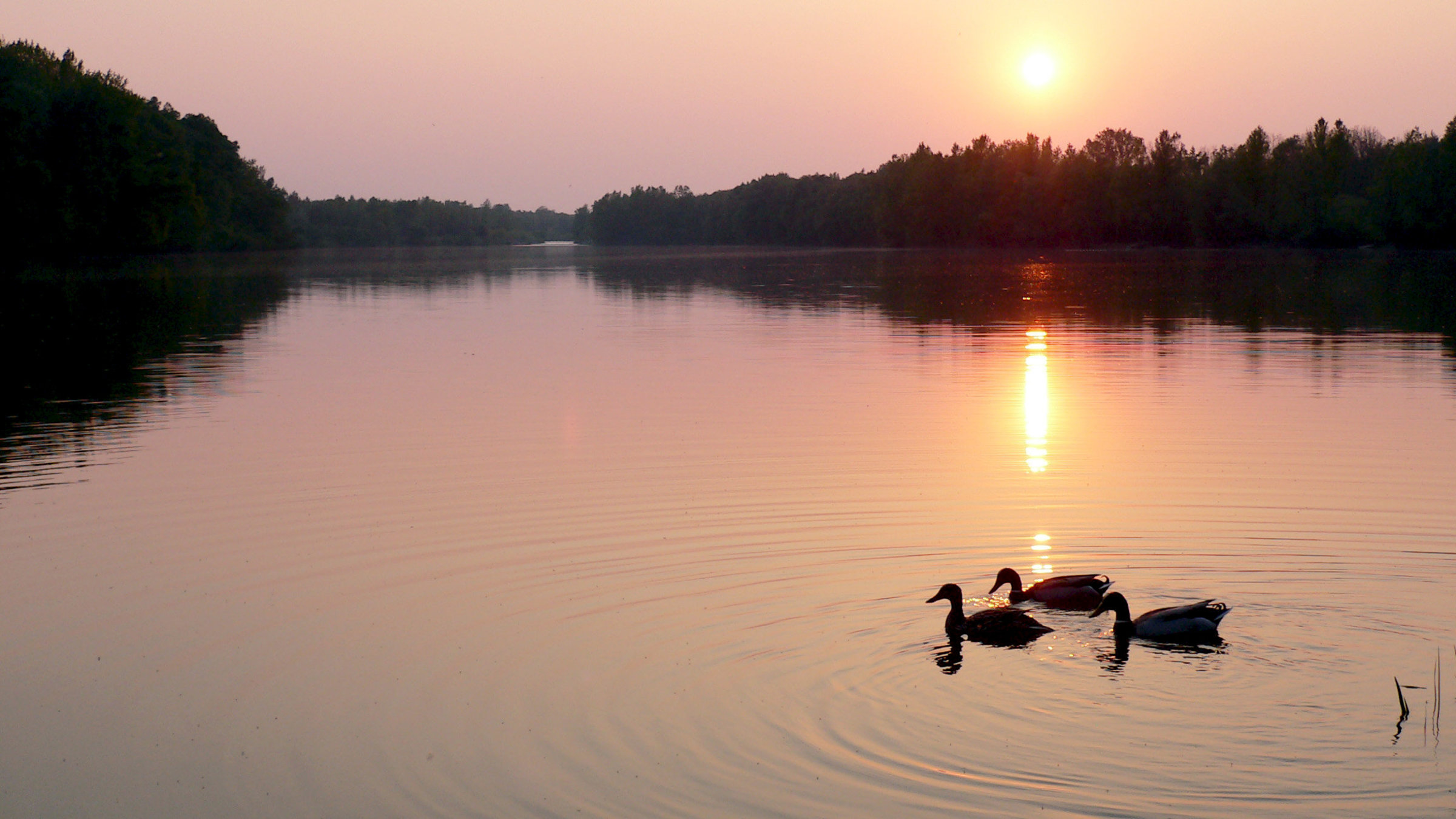 "Kamp - Ein Fluss für alle Sinne": Abendstimmung am Fluss.