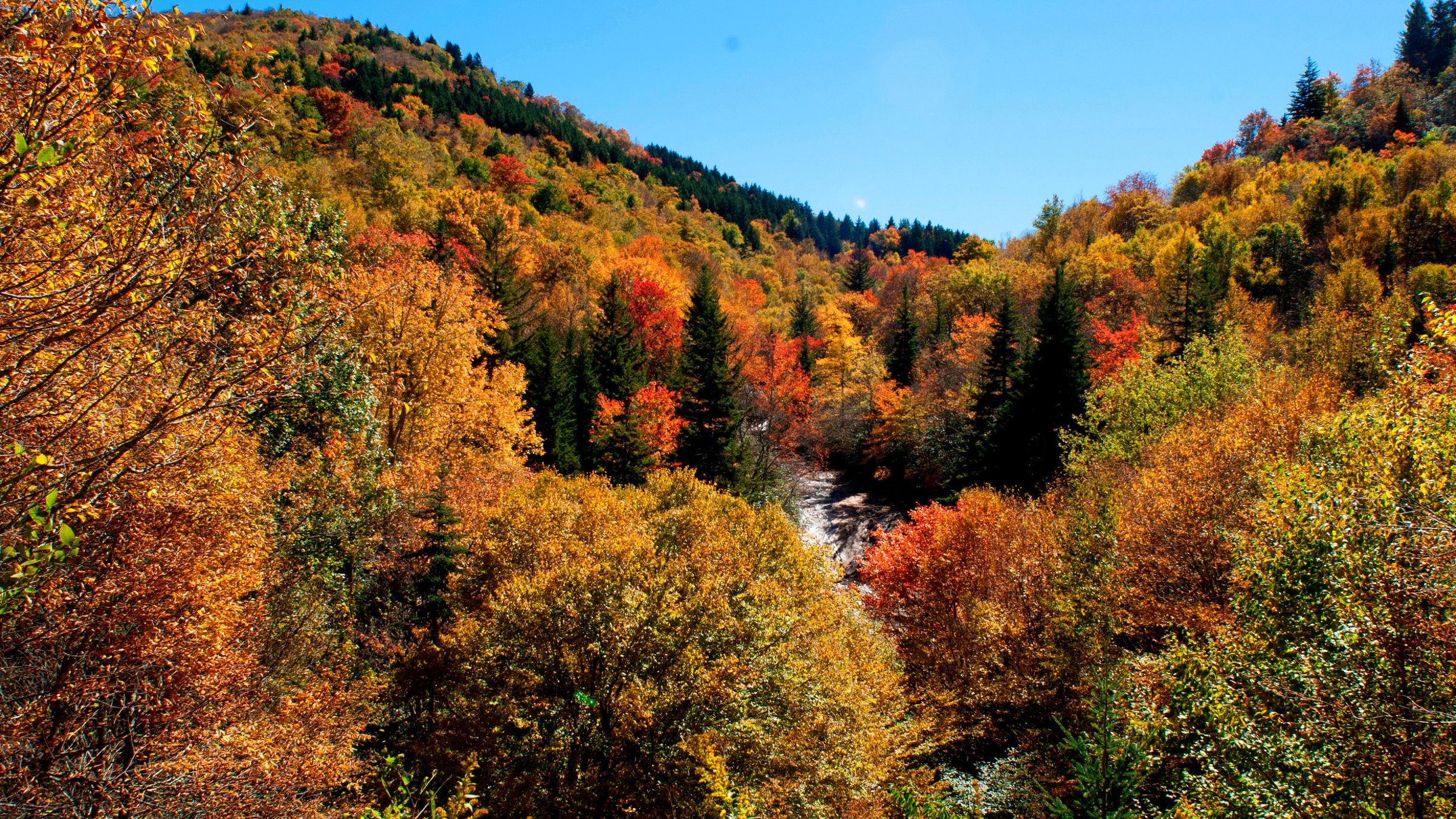 "Amerikas Naturwunder - Die Great Smoky Mountains": Während der letzten warmen Tage im Jahr sind die Great Smoky Mountains in alle nur erdenklichen Farbtöne getaucht. Die Herbstfarben sind eine spektakuläre Sehenswürdigkeit in den südlichen Appalachen.