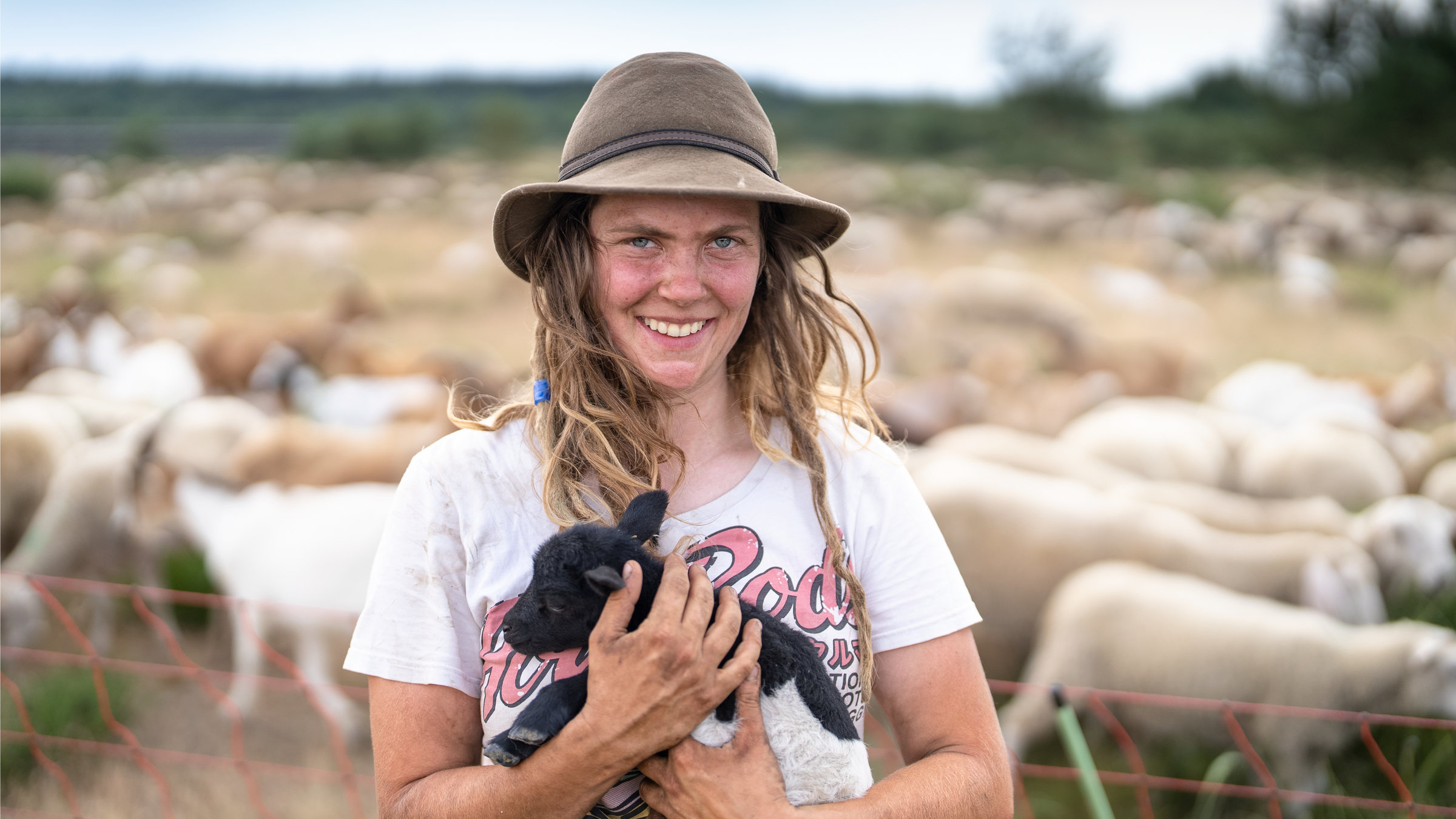 "37°: Immer auf der Hut - Wanderschäfer*innen in Deutschland": Schäferin Marthe Lohse trägt einen Schäferhut und lächelt stehend in die Kamera. In ihrem Arm hält sie ein schwarz-weißes Lamm. Hinter ihr grast ihre Herde auf einem umzäunten Feld.