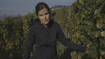 Traumhafte Bahnstrecken der Schweiz:Vom Dreiseenland durch d<br/>Vom Dreiseenland durch das Lavaux bis nach Genf