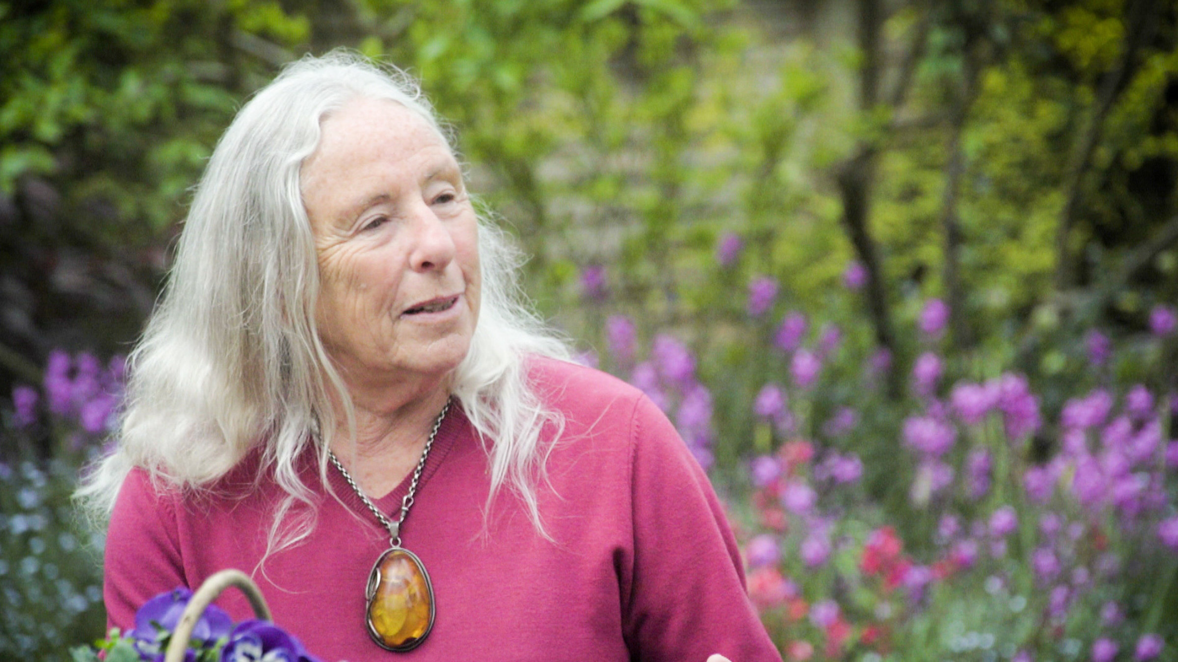 "Englische Gartenkunst" - Susan Benett (St.Regis Close).